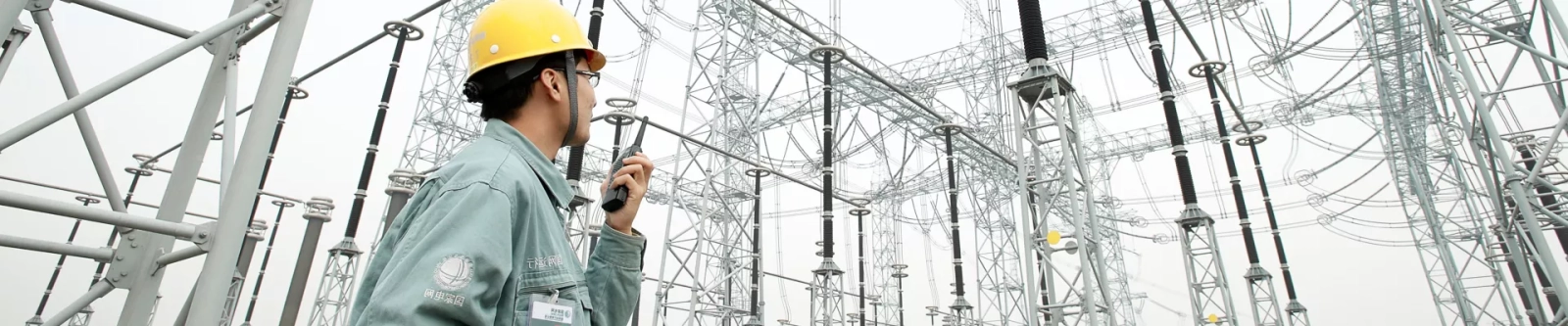 33KV  Surge Arrestors